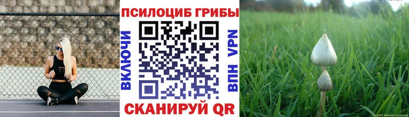 Галлюциногенные грибы MAGIC MUSHROOMS  купить наркотики сайты  Почеп 